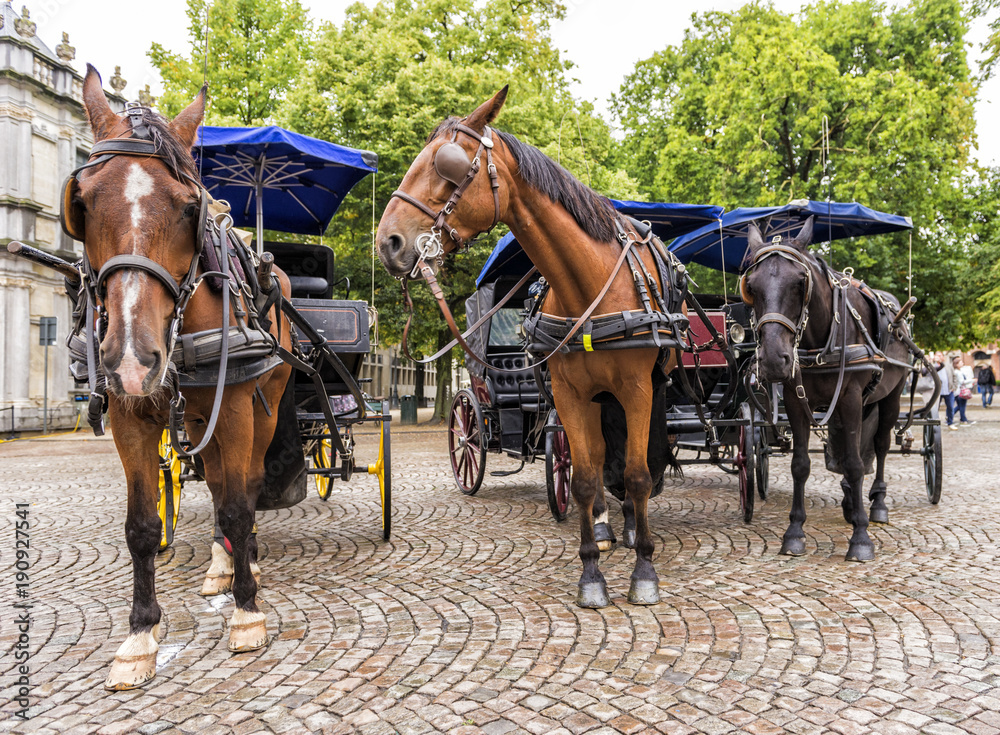 Beautiful Horse and Carriage Ride in Europe Beautiful Horse and Carriage Ride in Europe