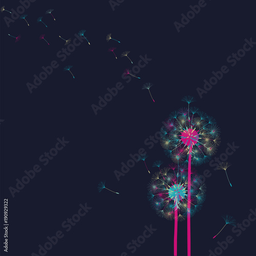 Abstract background of a dandelion for design.