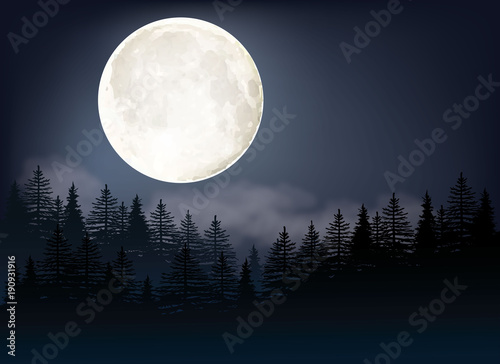 Full Moon vector Illustration. A night sky background with trees and moonlight.