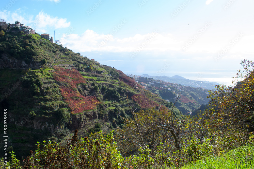 Fototapeta premium Levada do Norte Madeira Portugal