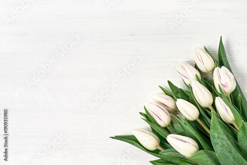 White tulips bouquet on white wooden background. Copy space, top view