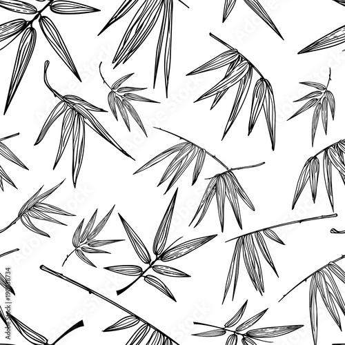 Vector seamless outline bamboo leaves pattern. Black and white hand drawn background. Design for fashion textile print, asian spa and massage, cosmetics package, furniture materials.