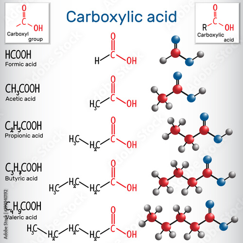 Carboxylic acids (formic, acetic, propionic, butyric, valeric). Homologous series of straight-chain, saturated carboxylic acids photo