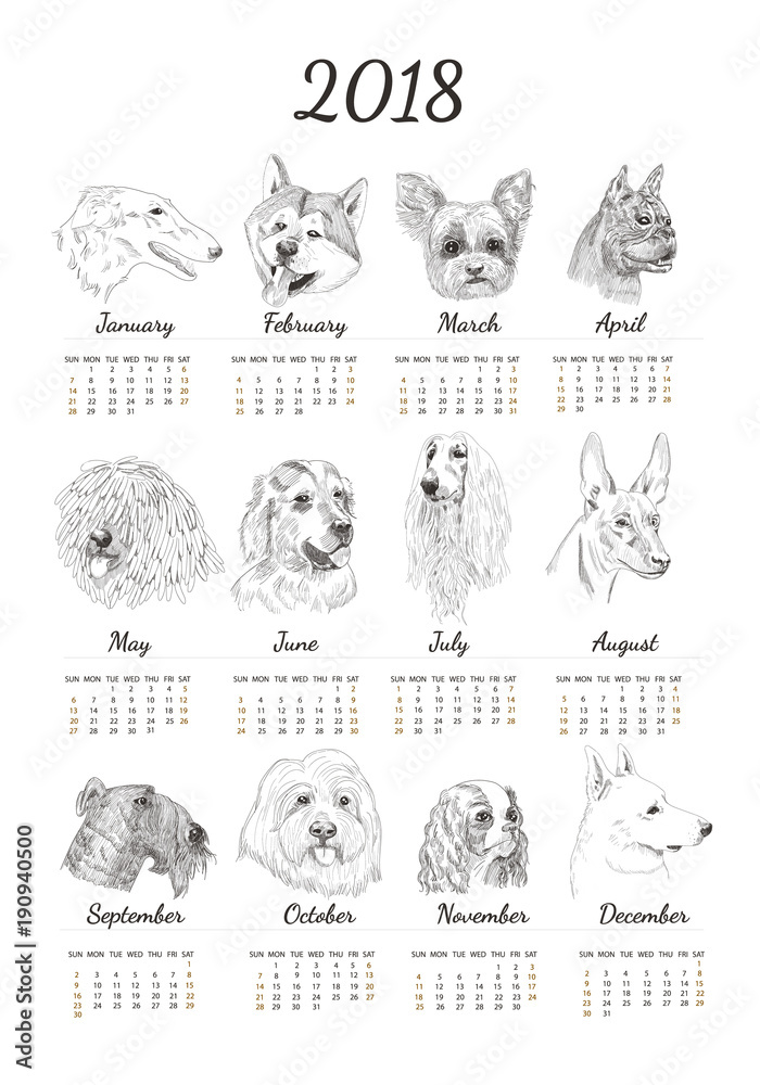 Calendar for 2018 with hand drawn dog sketches. Unique dog breed for calendar for new year.