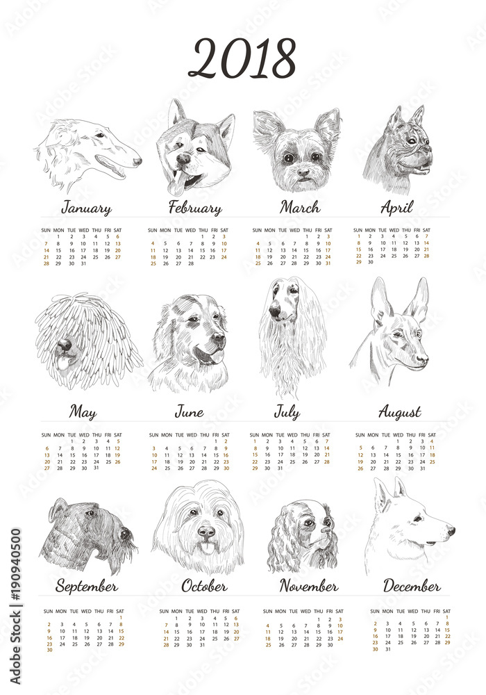 Calendar for 2018 with hand drawn dog sketches. Unique dog breed for calendar for new year. Calendar for 2018 with hand drawn dog sketches. Unique dog breed for calendar for new year.