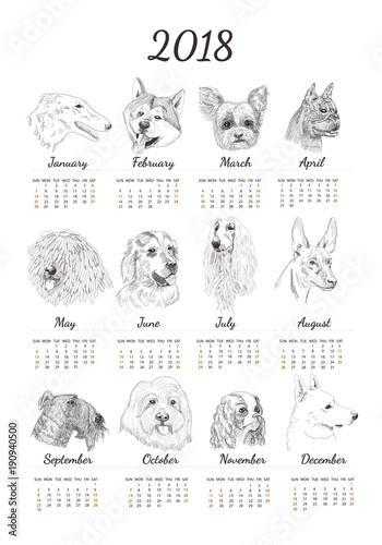 Calendar for 2018 with hand drawn dog sketches. Unique dog breed for calendar for new year.
