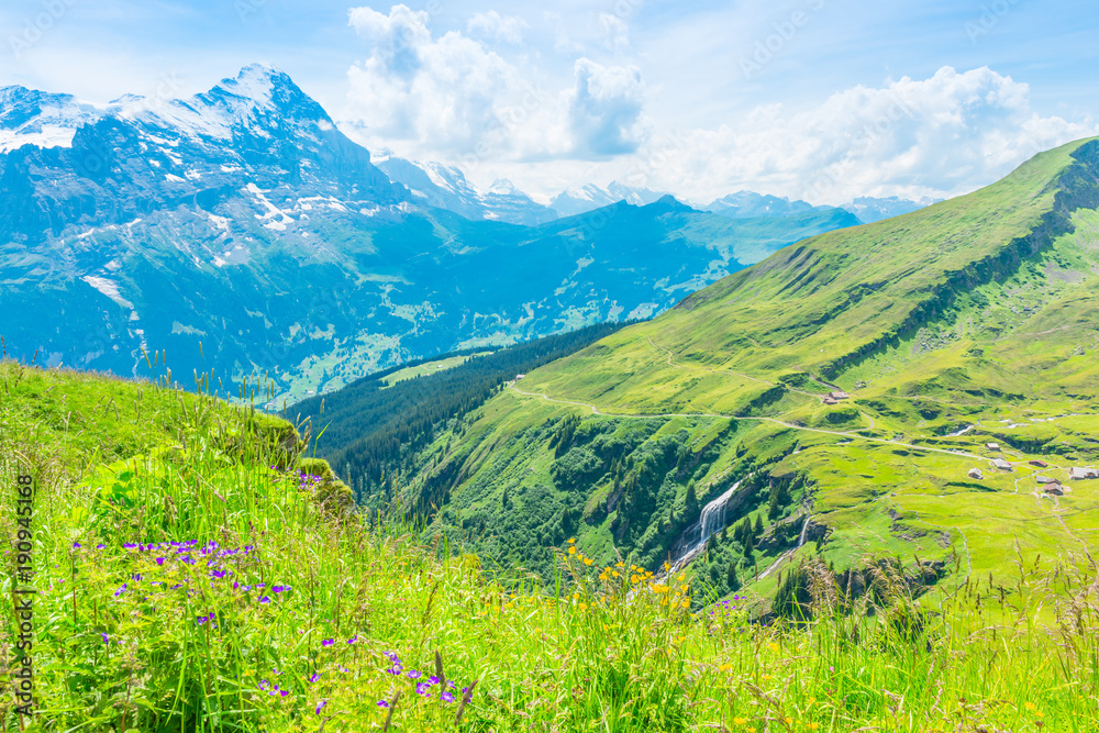 Naklejka premium Impressing mountain chains. Jungfrau-Aletsch-Bietschhorn UNESCO World Natural Heritagei n summer.