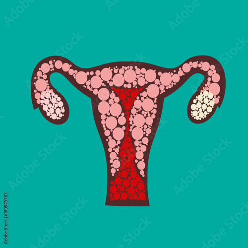 Uterus with ovary, cervix, fallopian tubes isolated on background. Female reproductive system. Healthy womb.