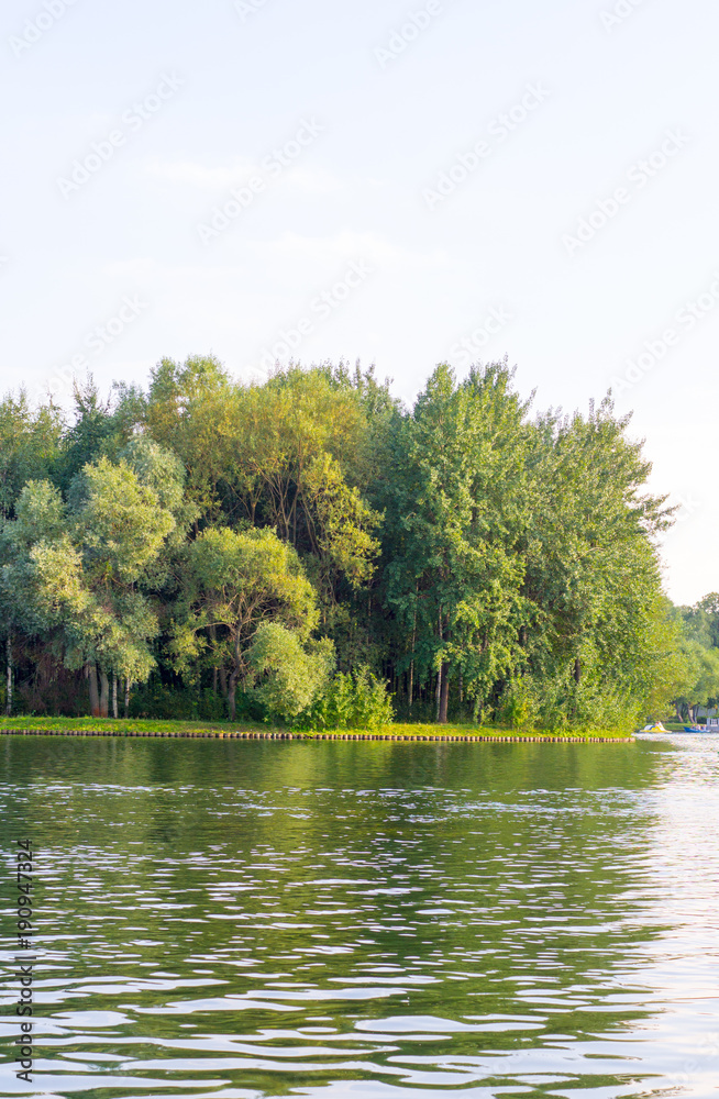 green water in the forest lake. background. green water in the forest lake. background.