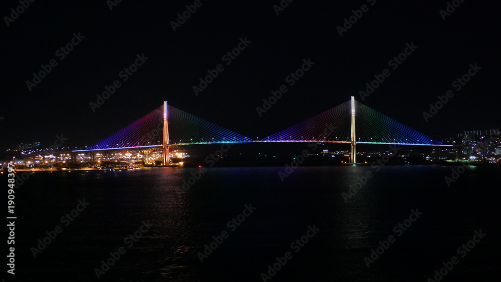 night shot of Korea busan bridge from cruise