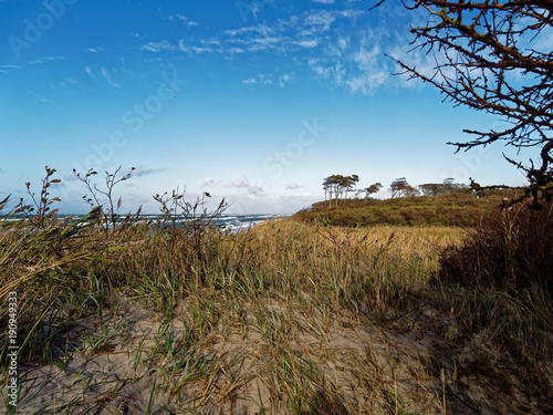 Darßer Weststrand, Nationalpark Vorpommersche Boddenlandschaft, Mecklenburg Vorpommern, Deutschland photo