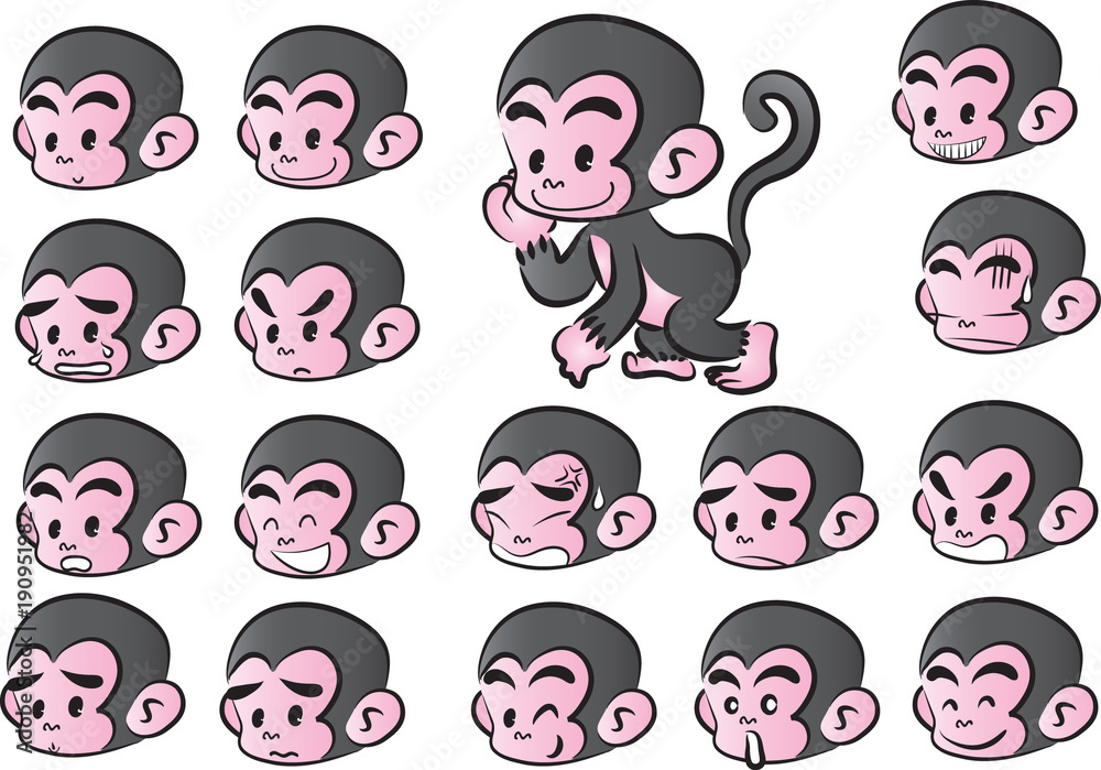 monkey Expression package monkey Expression package