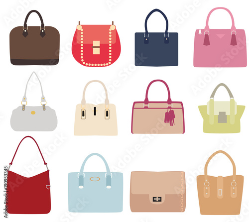 Vector Ladies Handbags