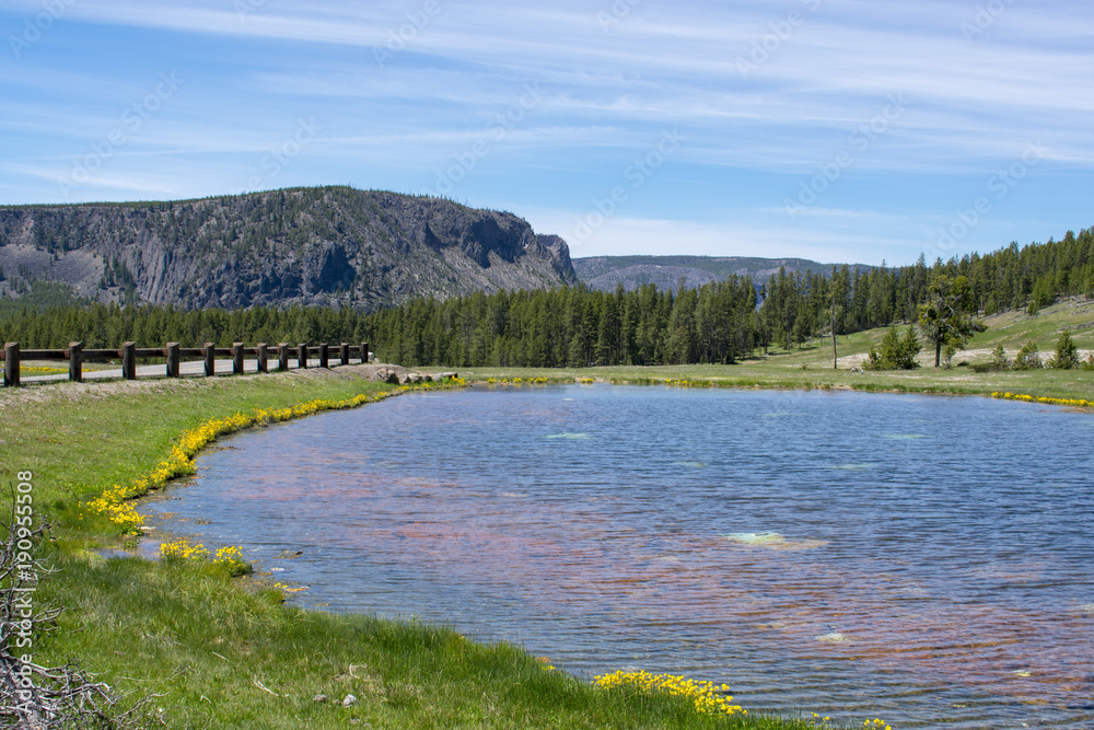 Obraz premium Pretty Hot Water