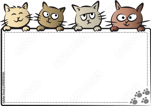 cats with blank card