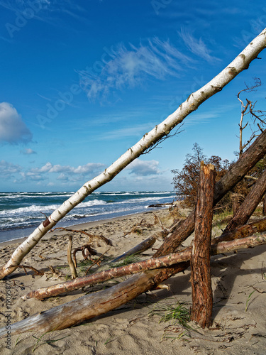 Darßer Weststrand, Nationalpark Vorpommersche Boddenlandschaft, Mecklenburg Vorpommern, Deutschland photo