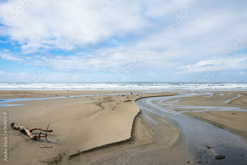 Bilde på lerret Sandy Beach, Driftwood, and Meandering Stream Flowing into Ocean