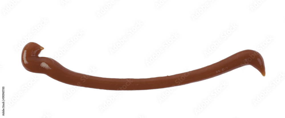 Decorational line made of sauce isolated Decorational line made of sauce isolated