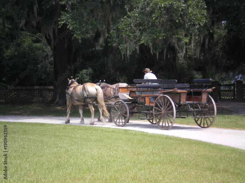 charleston plantation