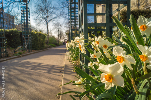 Coulee verte walk in Paris