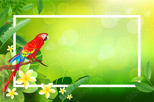Exotic tropical leaf background in greeting template