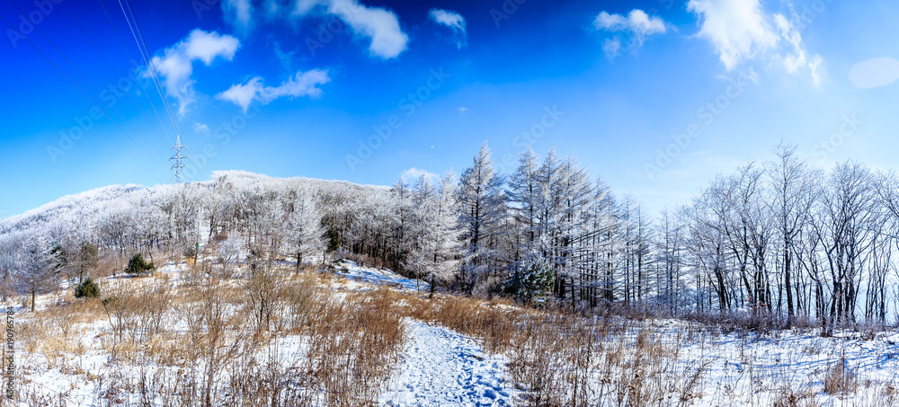 Obraz premium Beautiful nature scenes at winter