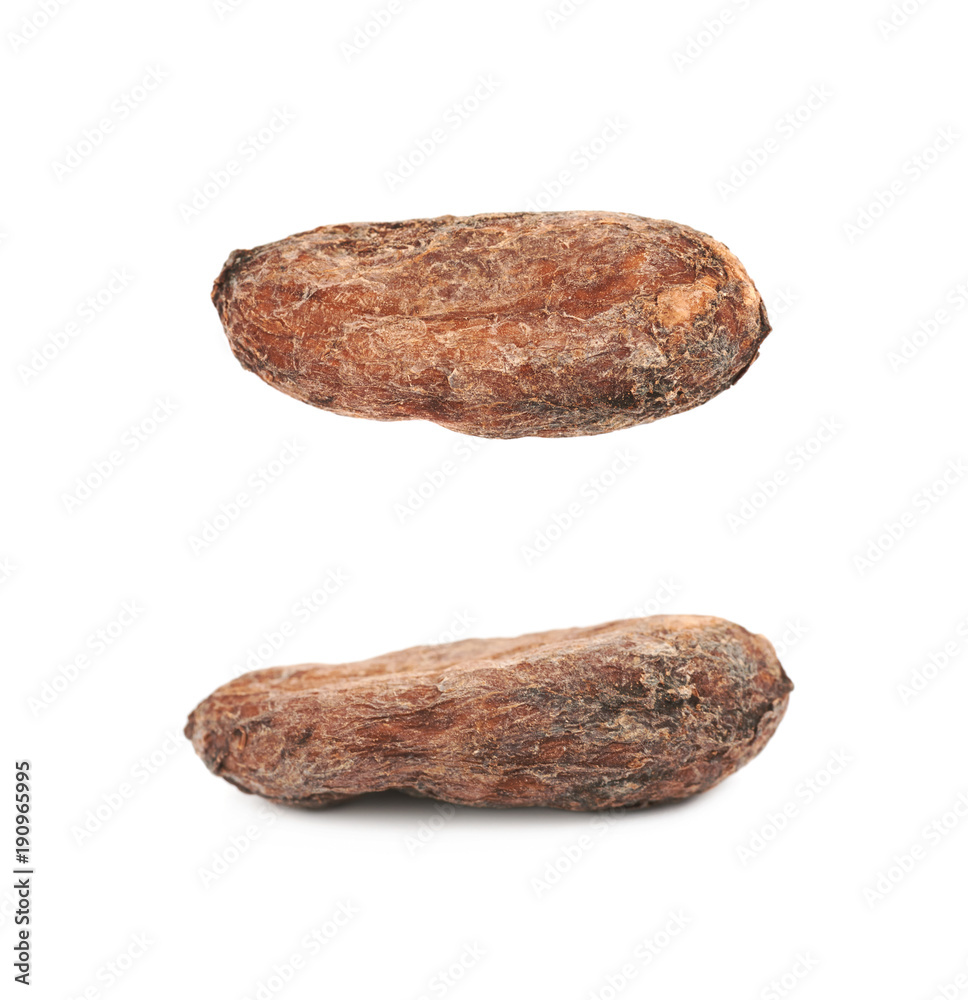 Single cocoa bean isolated Single cocoa bean isolated