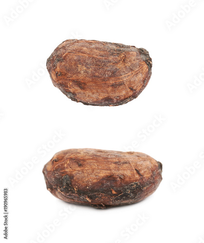 Single cocoa bean isolated