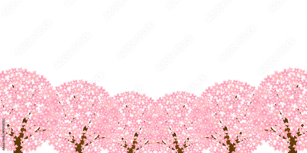 桜 春 花 背景 桜 春 花 背景