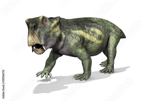 Lystrosaurus Dinosaur