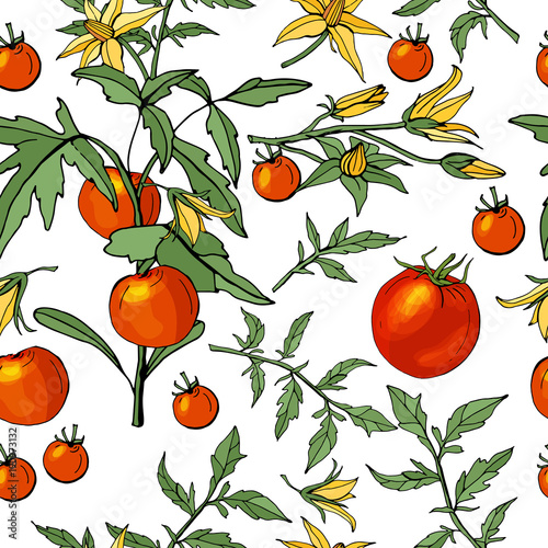 Seamless pattern with different vegetables on white. Various sorts of tomato