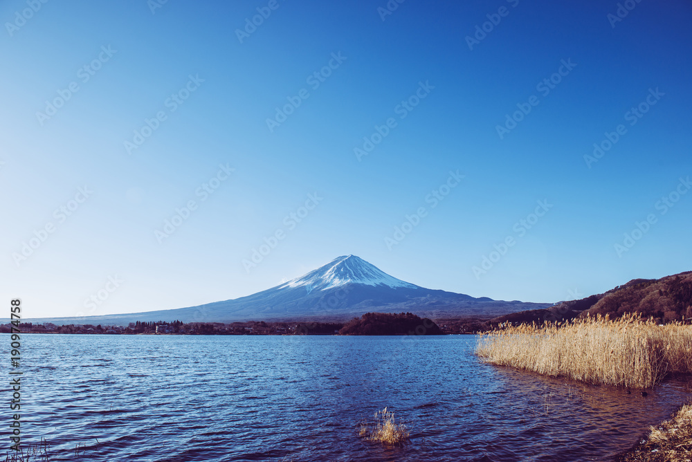 Fototapeta premium 富士山と河口湖