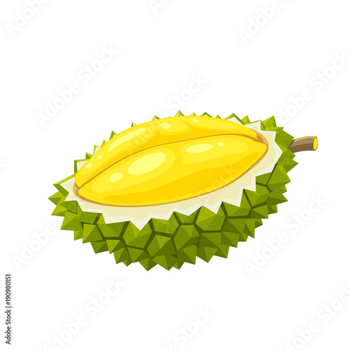 Summer tropical fruits for healthy lifestyle. Durian, half of fruit. Vector illustration cartoon flat icon isolated on white.