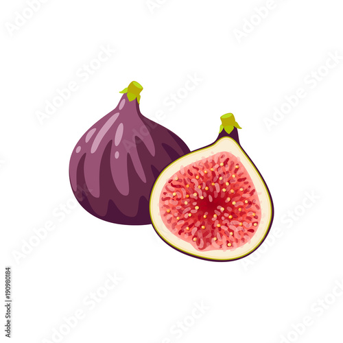 Summer tropical fruits for healthy lifestyle. Fig, purple whole fruit and half. Vector illustration cartoon flat icon isolated on white. photo