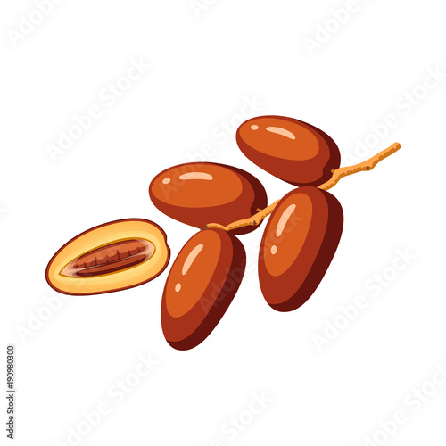 Summer tropical fruits for healthy lifestyle. Branch of dates. Vector illustration cartoon flat icon isolated on white.
