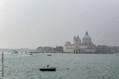 Venice © kristen reNae