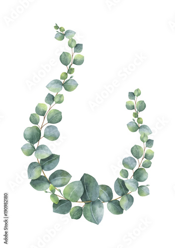 Watercolor vector wreath with green eucalyptus leaves and branches.