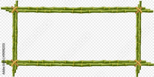 green bamboo steam frame isolated on transparent background