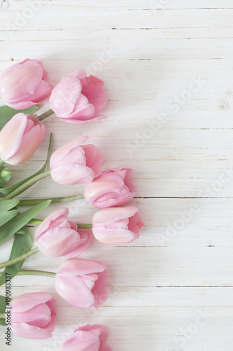 beautiful pink tulips on white wooden background
