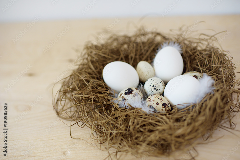 Obraz premium Raw eggs in a nest. Top view