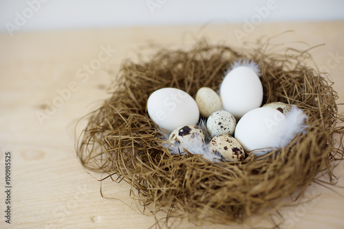 Raw eggs in a nest. Top view
