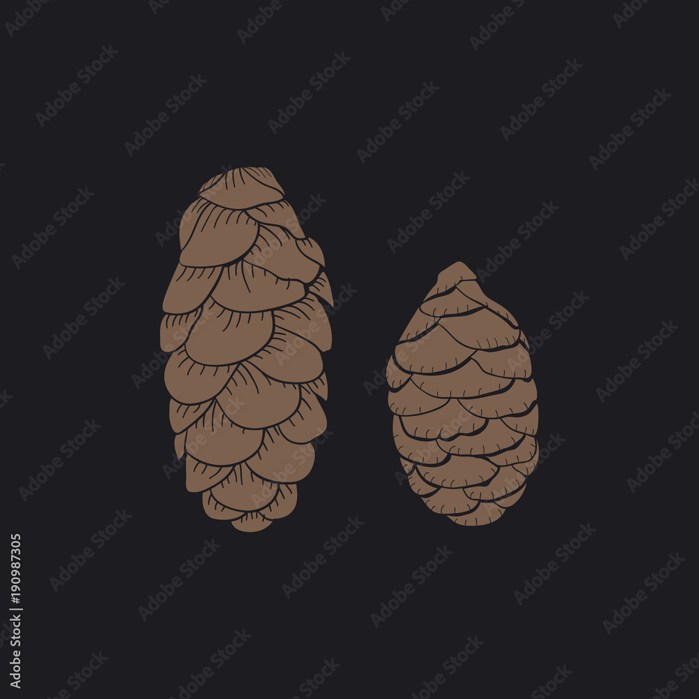 Naklejka premium Illustration pinecone isolated on background