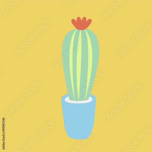 Illustration of cactus isolated on background