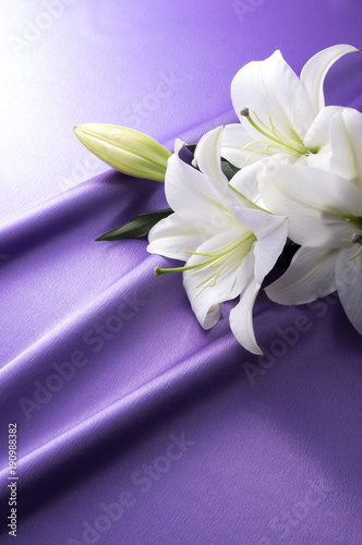 Fototapeta Naklejka Na Ścianę i Meble -  紫色のサテンと白いユリ