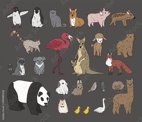 Fototapeta Naklejka Na Ścianę i Meble -  Illustration of animals set