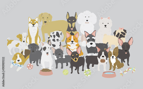 Photography Illustration of dogs collection