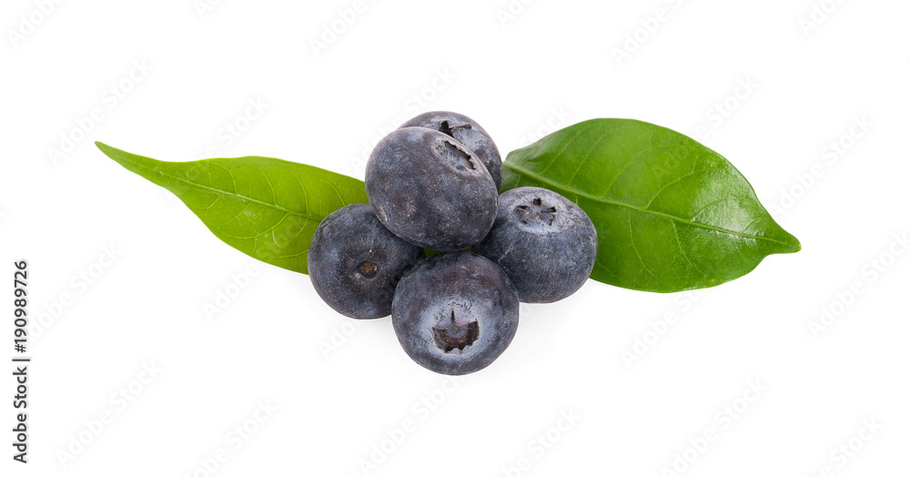 blueberries isolated on white blueberries isolated on white