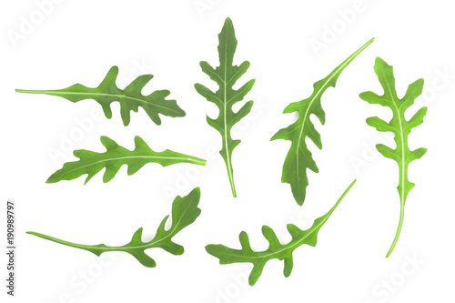 Green fresh rucola or arugula leaf isolated on white background. Top view. Flat lay pattern