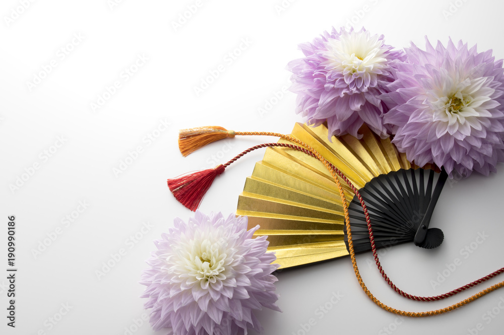 金色の扇子とダリアと組紐stock Photo Adobe Stock