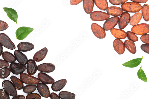 cocoa bean isolated on white background with copy space for your text. Top view. Flat lay